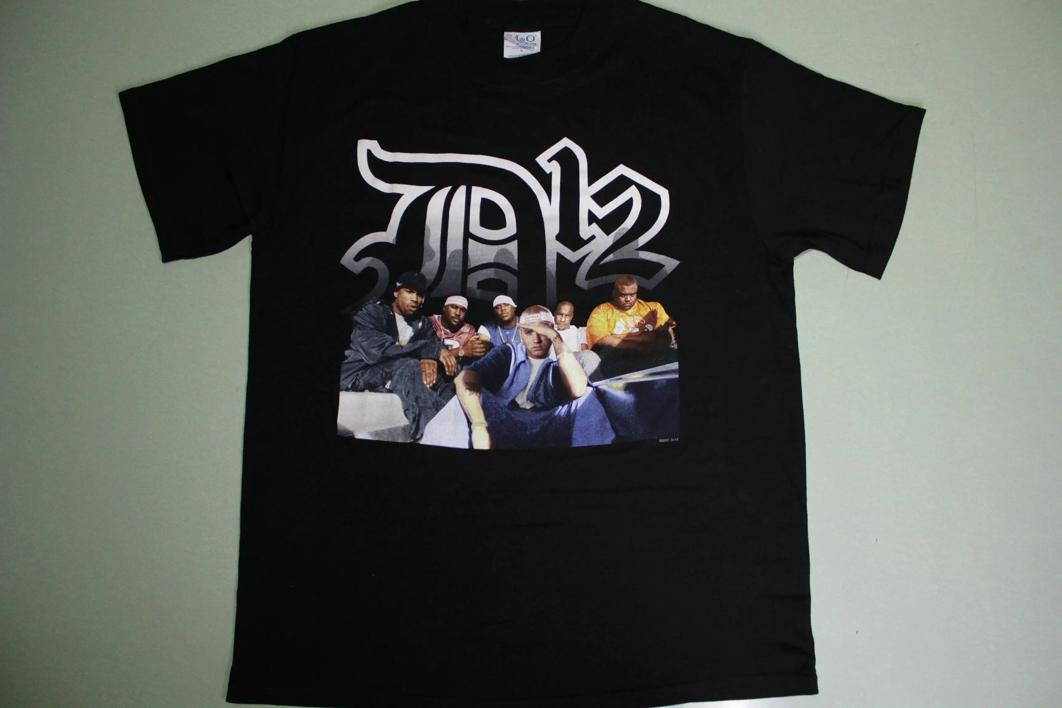 D12 2001 Vintage Eminem Band Photo 00's Rap Tee T-Shirt