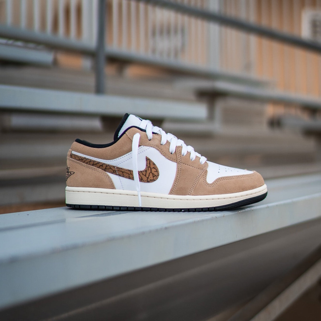 Mens Air Jordan 1 Low SE (Hemp)