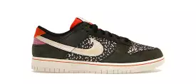 Nike Dunk Low SE Gone Fishing Rainbow Trout