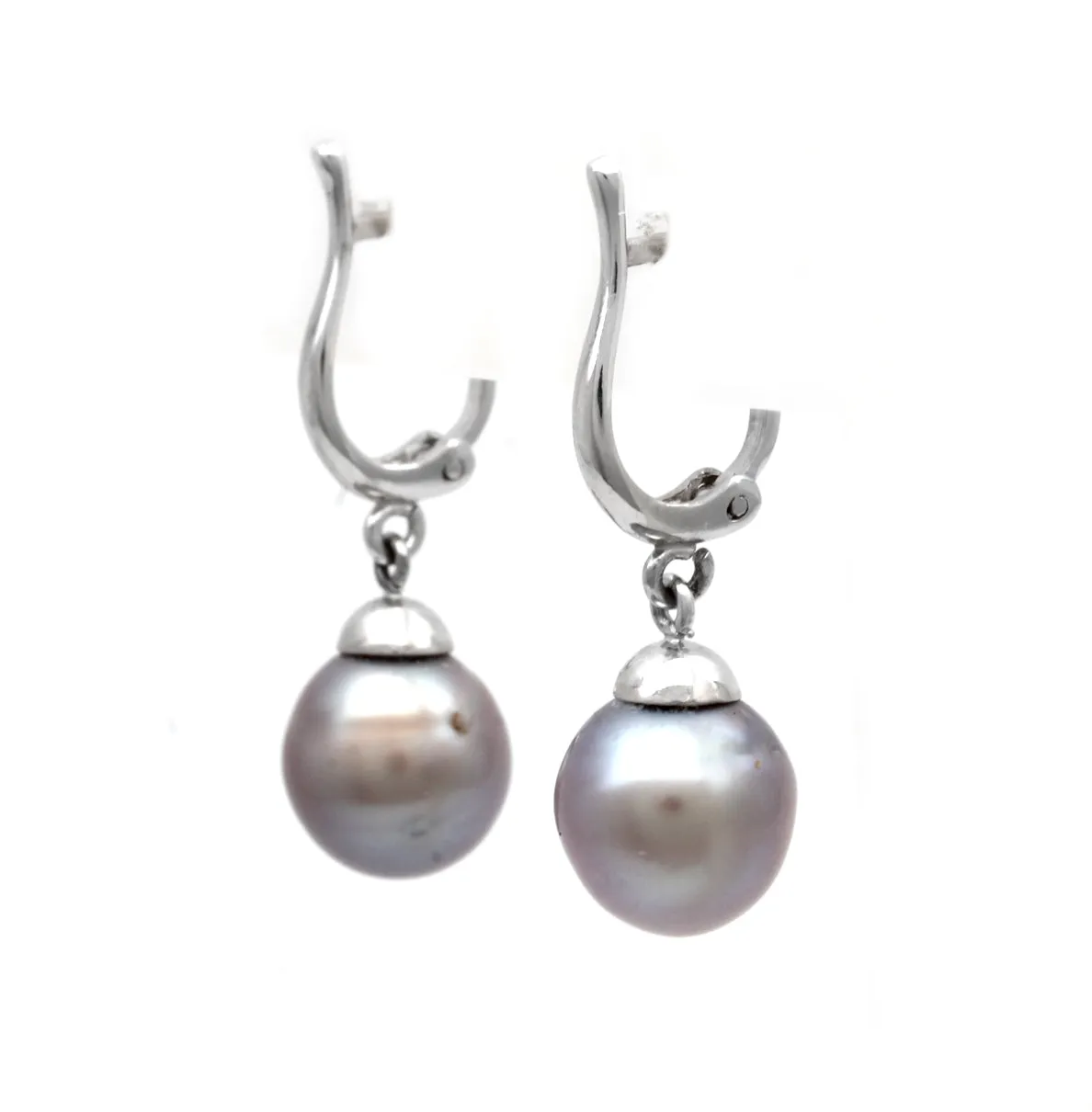 Purple with Sky Blue Pair of Cortez Pearls on Lyre 14K White Gold Earrings