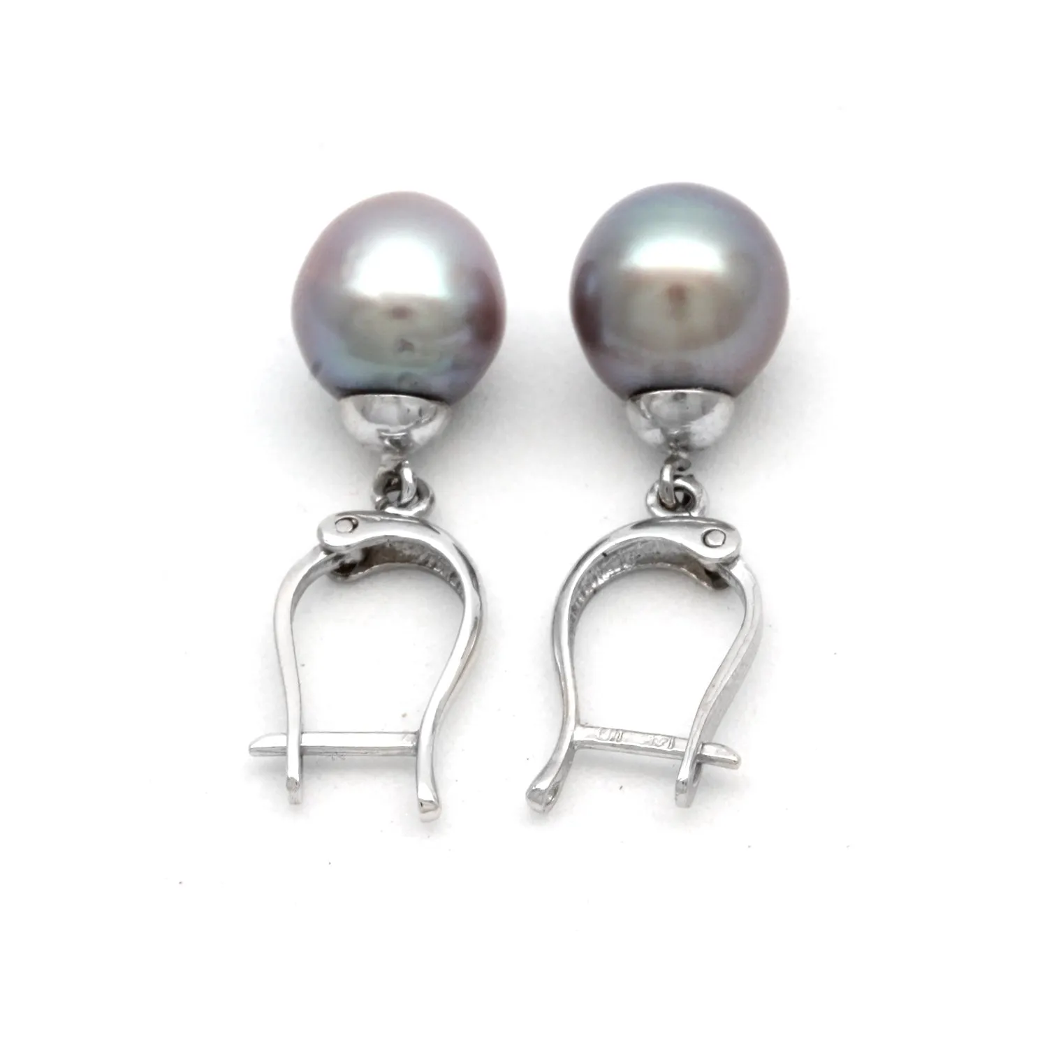 Purple with Sky Blue Pair of Cortez Pearls on Lyre 14K White Gold Earrings