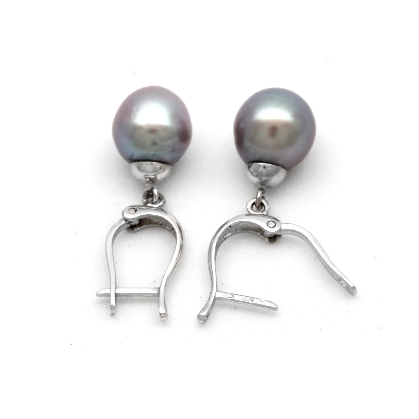 Purple with Sky Blue Pair of Cortez Pearls on Lyre 14K White Gold Earrings