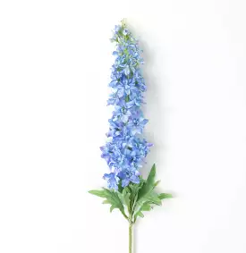 Sky-Blue Delphinium Stem