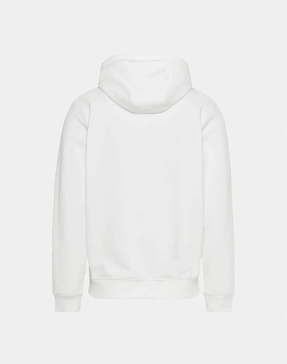 TOMMY JEANS TJM REG FLAG SPRAY HOODIE